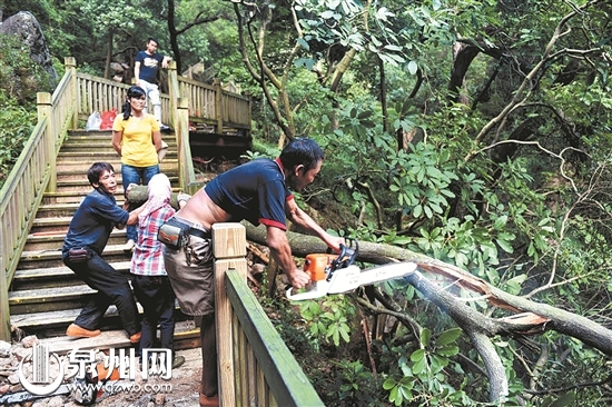 台风“莫兰蒂”奔袭泉州，清源山风景区遭受1956年以来最大损失，各项灾后重建工作扎实有序推进 “清源山速度” 确保景区重新开放