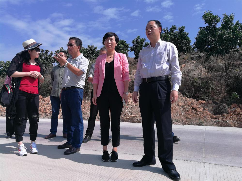 丰泽区政府洪奕蓉副区长率队考察对接漳浦县赤岭畲族