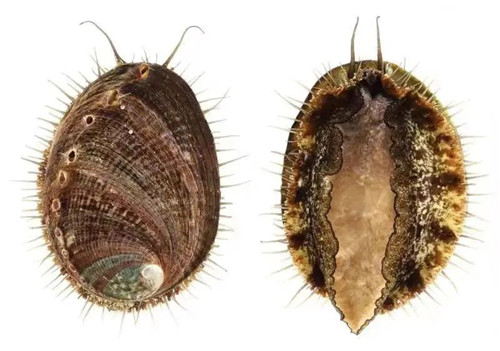 ""
